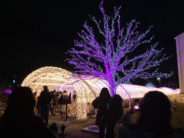 東京メガイルミに投稿された画像（2022/12/26）