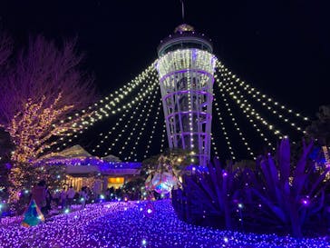 江の島シーキャンドルに投稿された画像（2022/12/26）