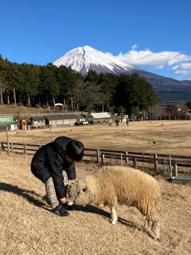 まかいの牧場に投稿された画像（2022/12/26）