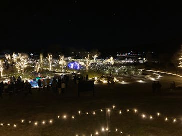 いばらきフラワーパークに投稿された画像（2022/12/26）