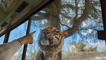 秋吉台自然動物公園 サファリランドに投稿された画像（2022/12/26）