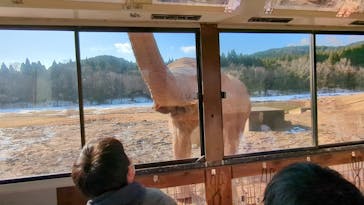 秋吉台自然動物公園 サファリランドに投稿された画像（2022/12/26）