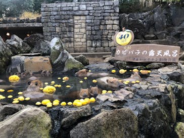 伊豆シャボテン動物公園に投稿された画像（2022/12/26）