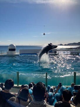 鴨川シーワールドに投稿された画像（2022/12/26）