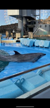 名古屋港水族館に投稿された画像（2022/12/26）