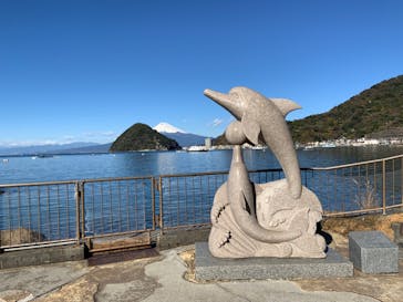 伊豆・三津シーパラダイスに投稿された画像（2022/12/26）