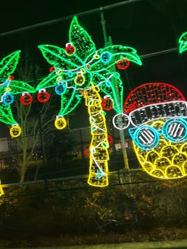 ドライブスルー堺イルミナージュに投稿された画像（2022/12/26）