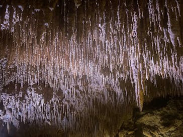 おきなわワールドに投稿された画像（2022/12/26）