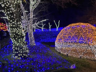 さがみ湖MORI MORIに投稿された画像（2022/12/26）