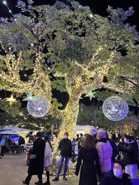 江の島シーキャンドルに投稿された画像（2022/12/26）