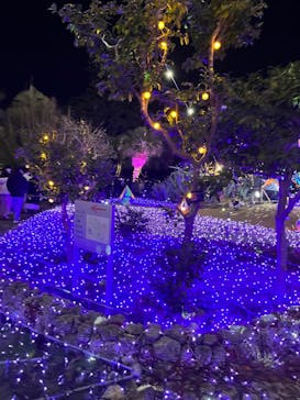 江の島シーキャンドルに投稿された画像（2022/12/26）