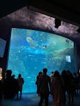 新江ノ島水族館に投稿された画像（2022/12/26）