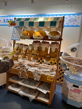 新江ノ島水族館に投稿された画像（2022/12/26）