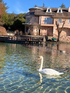 河口湖 音楽と森の美術館に投稿された画像（2022/12/26）