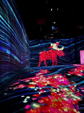 チームラボフォレスト 福岡 - SBI証券に投稿された画像（2022/12/26）