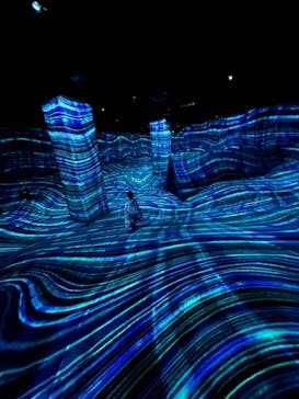 チームラボフォレスト 福岡 - SBI証券に投稿された画像（2022/12/26）