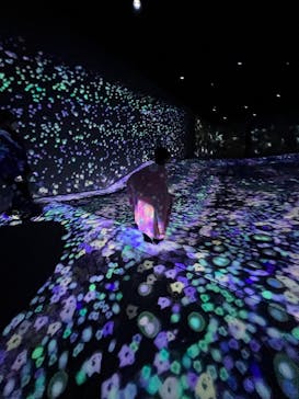 チームラボフォレスト 福岡 - SBI証券に投稿された画像（2022/12/26）