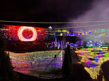 伊豆ぐらんぱる公園に投稿された画像（2022/12/26）