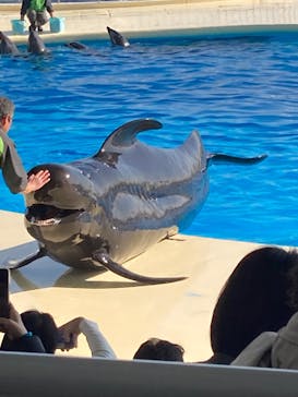 マリンワールド海の中道に投稿された画像（2022/12/26）