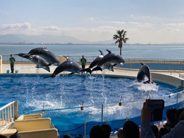 マリンワールド海の中道に投稿された画像（2022/12/26）