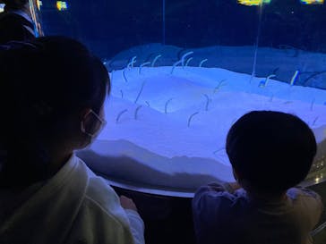 マリンワールド海の中道に投稿された画像（2022/12/26）