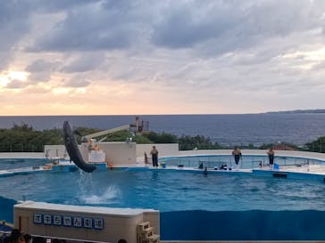 沖縄美ら海水族館に投稿された画像（2022/12/26）