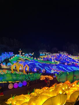 伊豆ぐらんぱる公園に投稿された画像（2022/12/27）