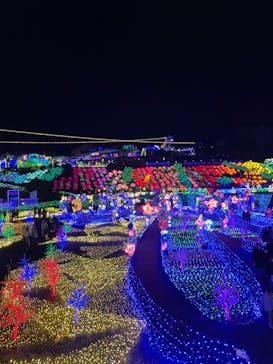 伊豆ぐらんぱる公園に投稿された画像（2022/12/27）