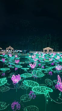 美らヤシパークオキナワ・東南植物楽園に投稿された画像（2022/12/27）