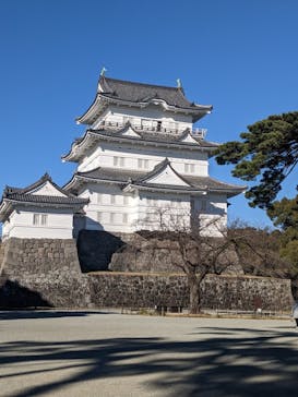 小田原城に投稿された画像（2022/12/27）