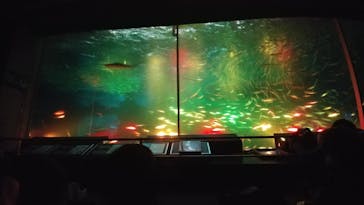 南知多ビーチランド＆南知多おもちゃ王国に投稿された画像（2022/12/27）