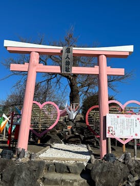 伊豆ぐらんぱる公園に投稿された画像（2022/12/27）