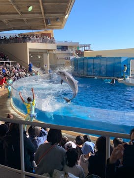 新江ノ島水族館に投稿された画像（2022/12/27）