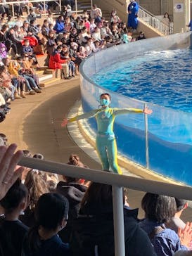 新江ノ島水族館に投稿された画像（2022/12/27）