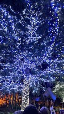 なばなの里に投稿された画像（2022/12/27）