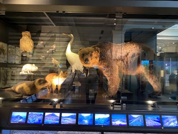 国立科学博物館に投稿された画像（2022/12/27）