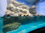 アクアワールド茨城県大洗水族館に投稿された画像（2022/12/27）