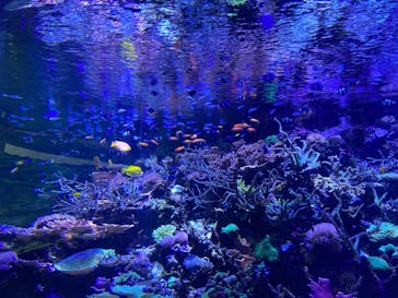 名古屋港水族館に投稿された画像（2022/12/27）