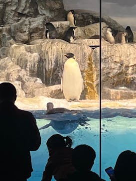 名古屋港水族館に投稿された画像（2022/12/27）