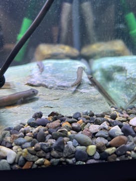 名古屋港水族館に投稿された画像（2022/12/27）