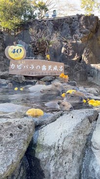 伊豆シャボテン動物公園に投稿された画像（2022/12/27）