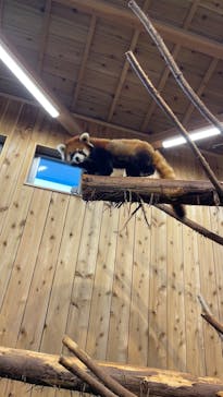 伊豆シャボテン動物公園に投稿された画像（2022/12/27）