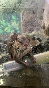 伊豆シャボテン動物公園に投稿された画像（2022/12/27）