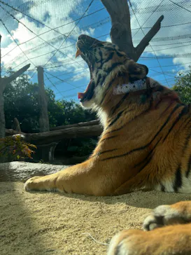 神戸どうぶつ王国に投稿された画像（2022/12/27）