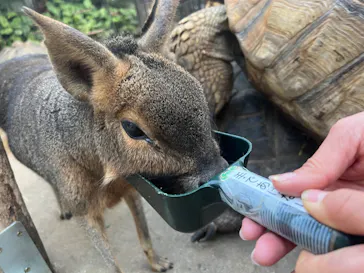 神戸どうぶつ王国に投稿された画像（2022/12/27）