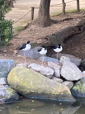 神戸どうぶつ王国に投稿された画像（2022/12/27）