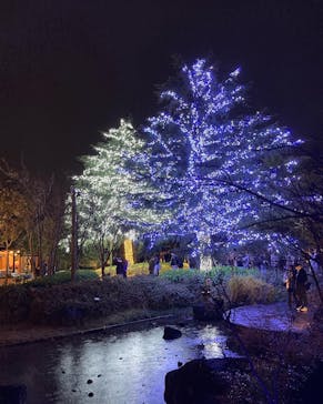 なばなの里に投稿された画像（2022/12/27）