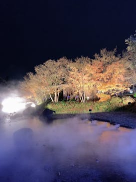 なばなの里に投稿された画像（2022/12/27）