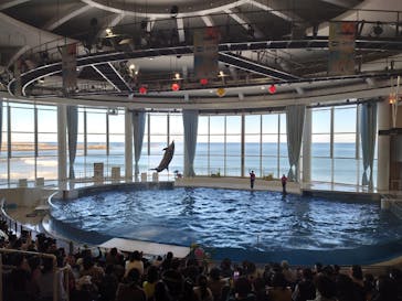 アクアワールド茨城県大洗水族館に投稿された画像（2022/12/27）