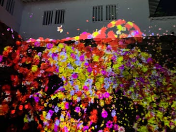 福山城400年博-FUKUYAMA CASTLE EXPO 2022- RCC開局70年 「チームラボ 福山城 光の祭」に投稿された画像（2022/12/27）